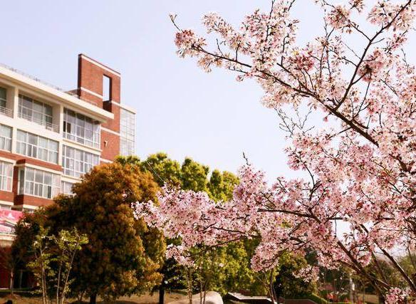 武汉外语外事职业学院