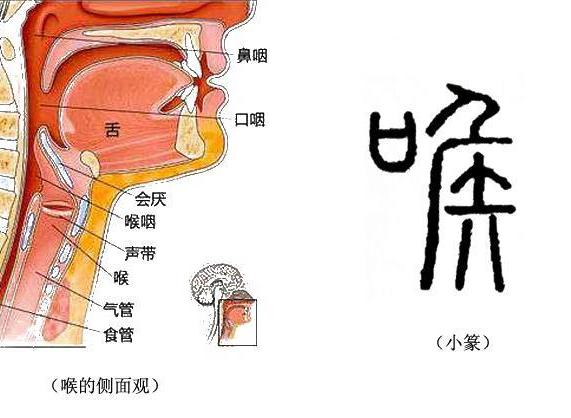 喉鸣