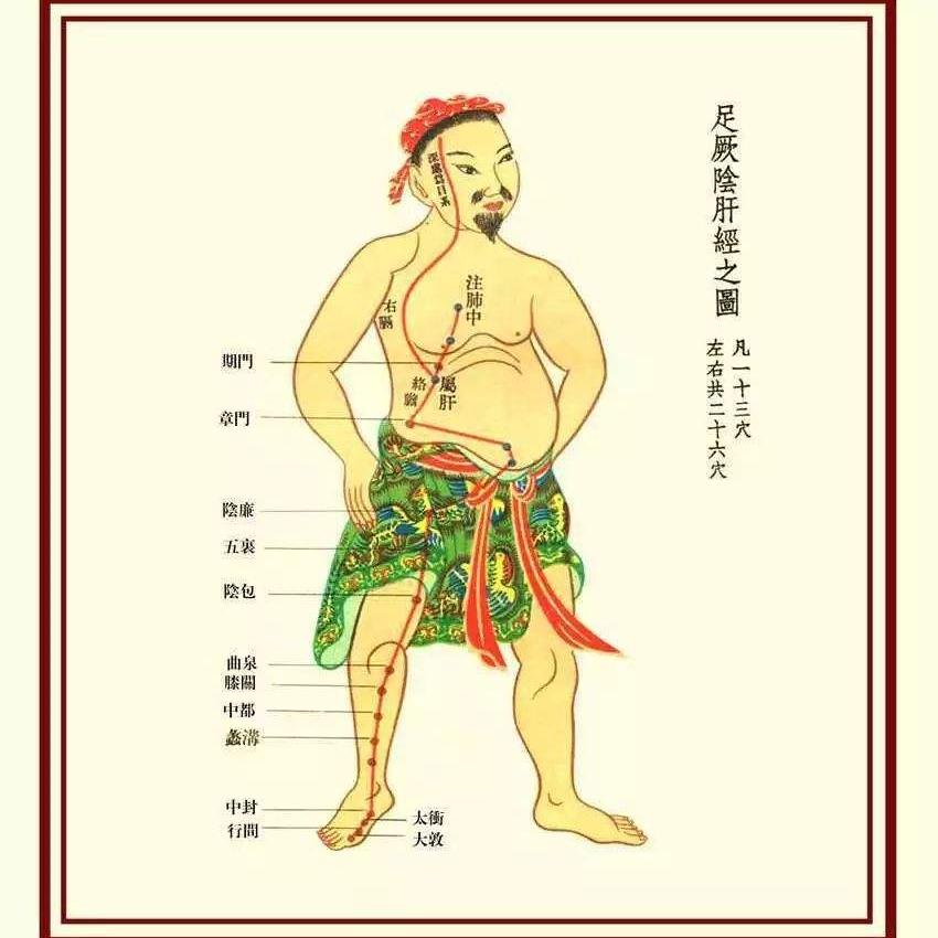 足太阴脾经
