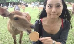 从古代开始，我们就有吃鹿肉的习惯，那个时代的人们经常捕捉野生的鹿群。但是这一习惯