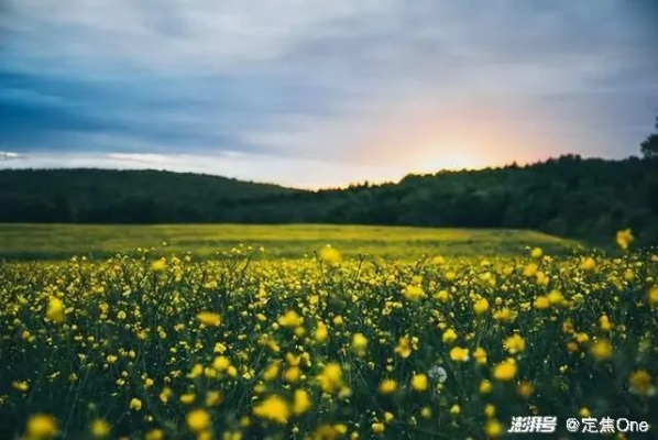 五一假期县域市场酒店预订订单同比增长68%、景区门票订单同比增长151%，增速高