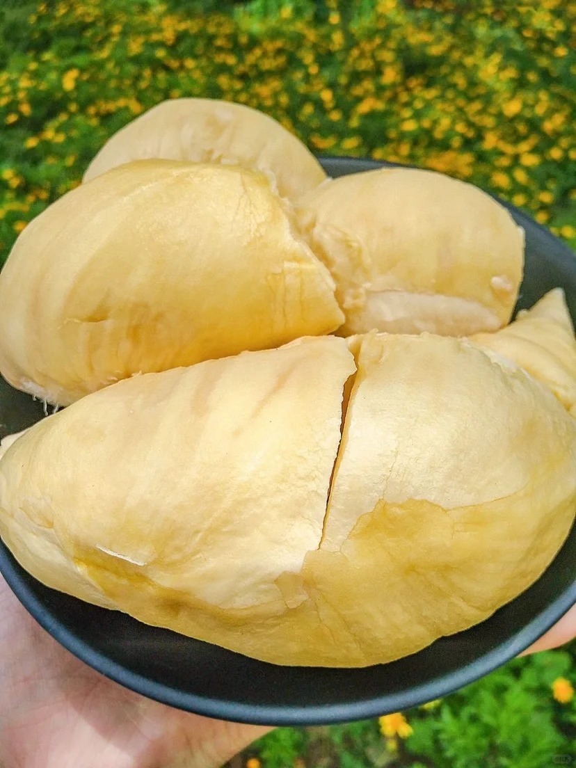 榴莲降价潮能帮助大家实现“榴莲”自由吗？ 
 
由于种植榴莲有严格的气候限制，国