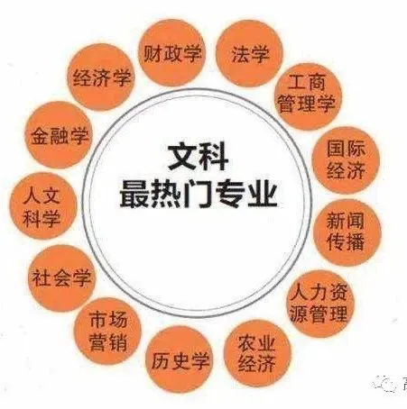 文科生的出路不在公务员，而在教育领域，如高校教师和教育咨询师等多样的职业选择，实