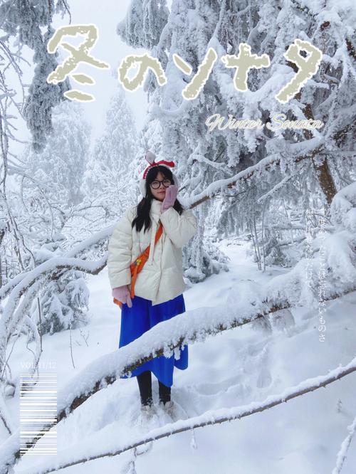 我在我的相册里挑选一张美丽的雪景与大家分享，希望大家喜欢！