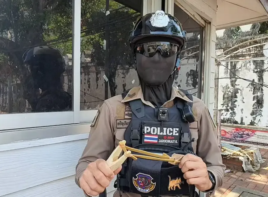 泰国街头惊现数千只猴子火拼现场！警方蒙面出击，为治理泛滥的猴子帮派，不得不采取绝