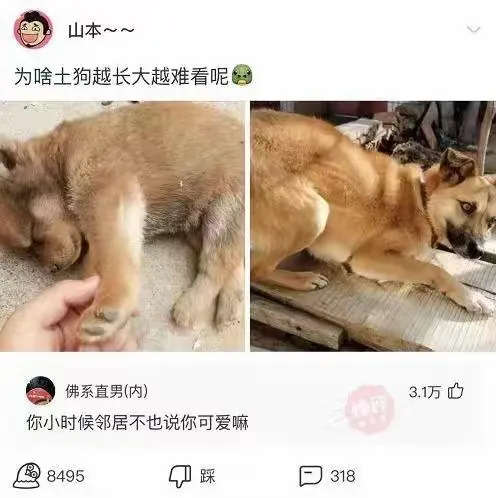 这评论，扎心了啊，老铁#网友神评论，##搞笑段子##神评们？#