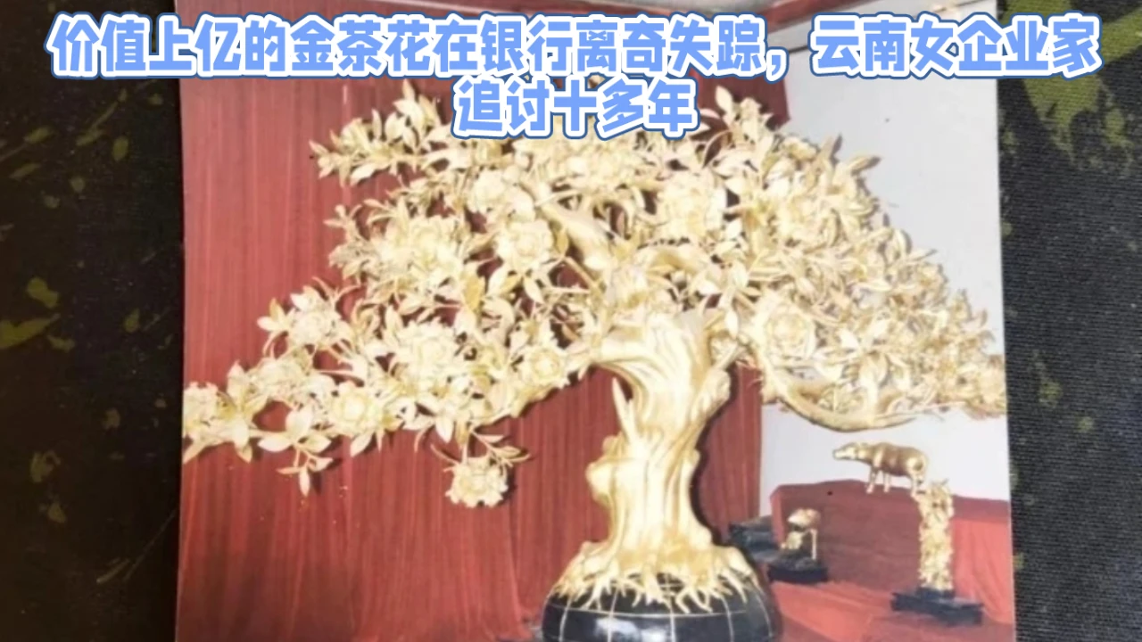 女企业家苦追十多年无果！希望法院和银行能尽快查明真相，给受害者一个公道！