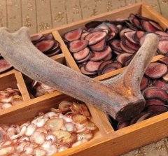 与其他肉类相比，鹿肉的优势在于其低脂肪、低胆固醇的特点，更适合现代人的健康饮食需