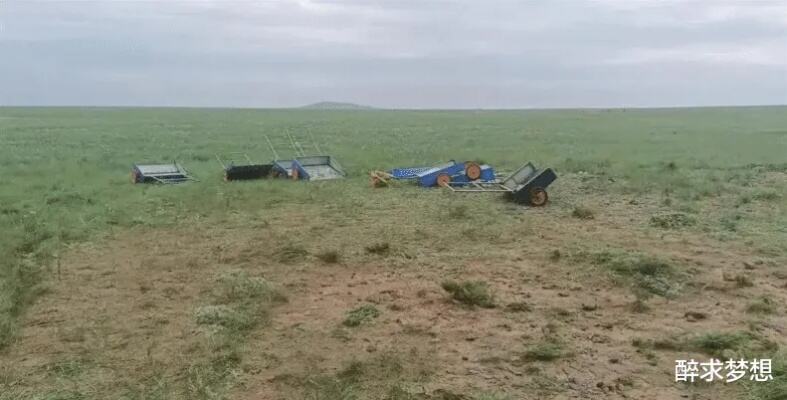 哎，这事儿吧，说起来就有点复杂了。说到底，就是为了保护环境嘛！草原上那些野生植物