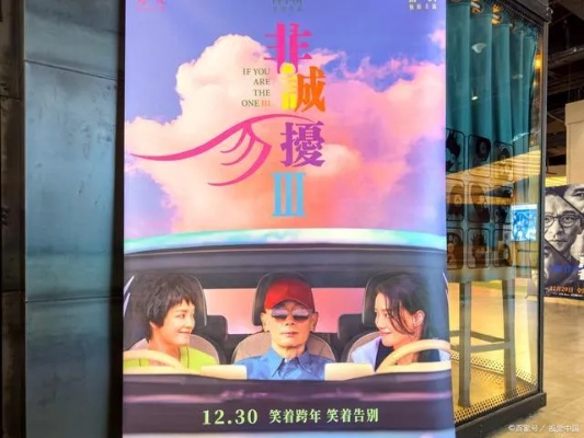 截止目前，《非诚勿扰3》的票房仅刚过3000万元，出人意料地成为了本次元旦档票房