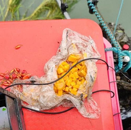 钓鱼烧钱，装备贵、交通费高、鱼饵费也高。 
