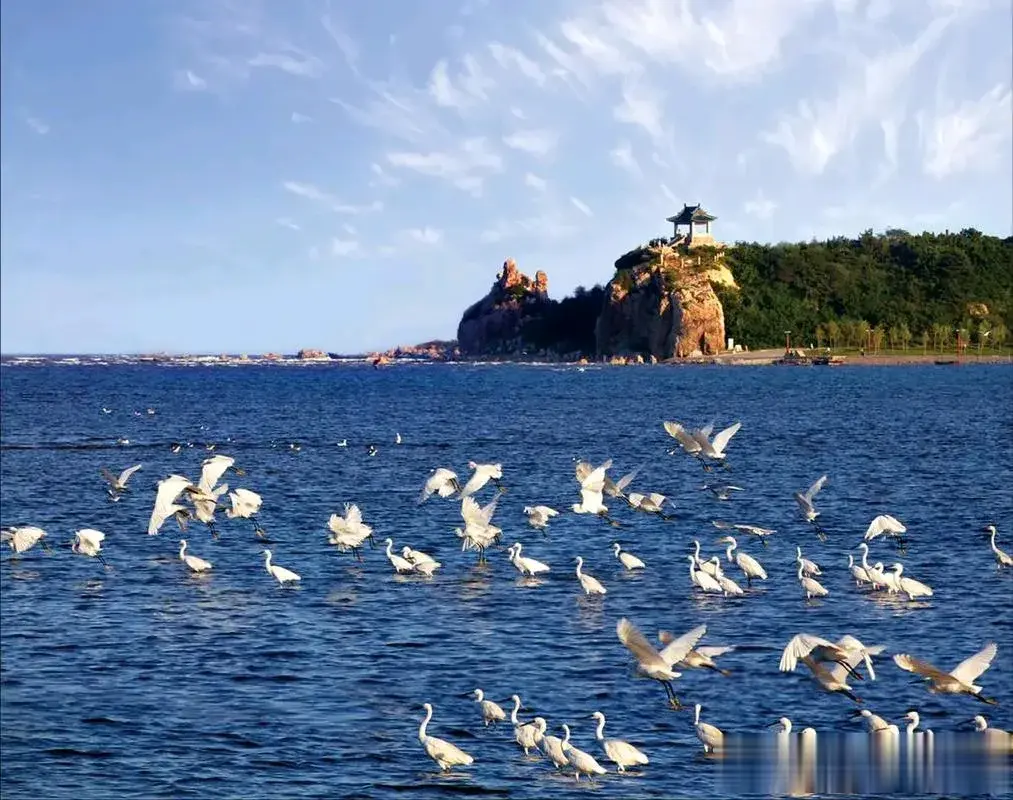 夏天不热的12大避暑胜地:1.九寨沟2.鸡公山3.北戴河4.香格里拉5.神农架6