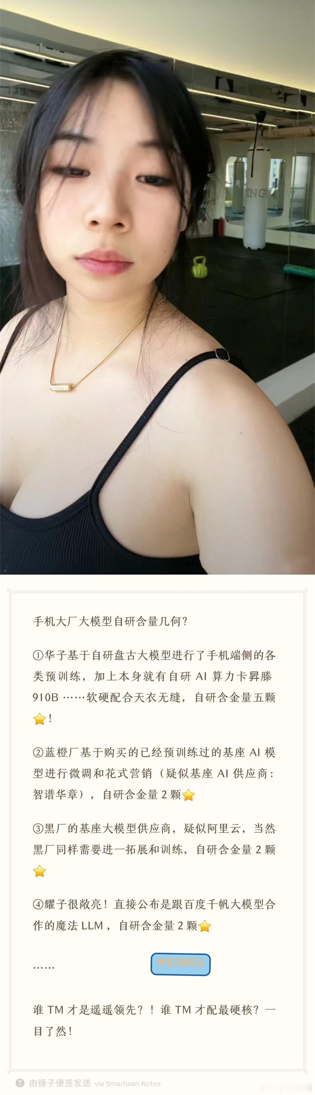 盘古大模型国内算力最强的了