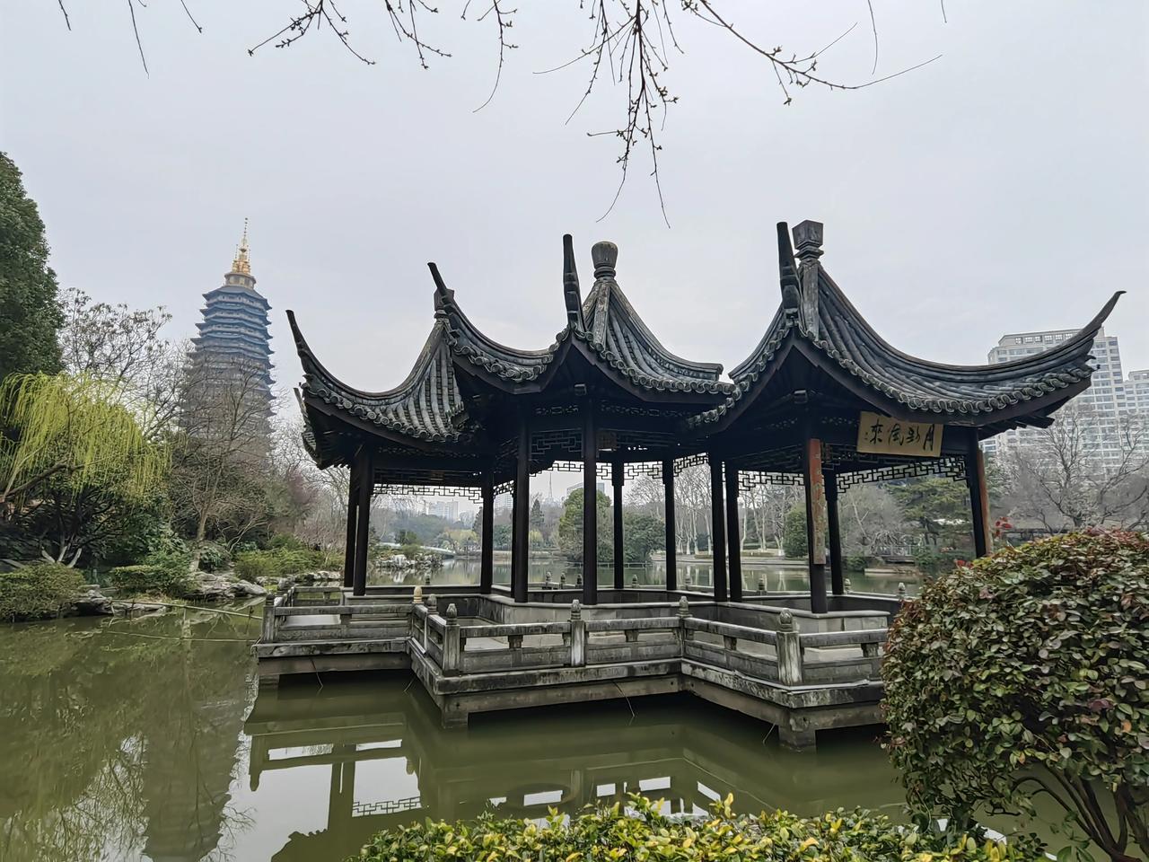 春游红梅公园