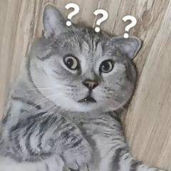 #西安一高校学生挂科威胁老师改成绩#我天自己没考好威胁老师啊这是现实世界发生的事