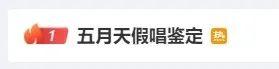 不！就像接受假冒伪劣产品一样，假唱不仅欺骗了粉丝的感情，更是对音乐艺术的不尊重。