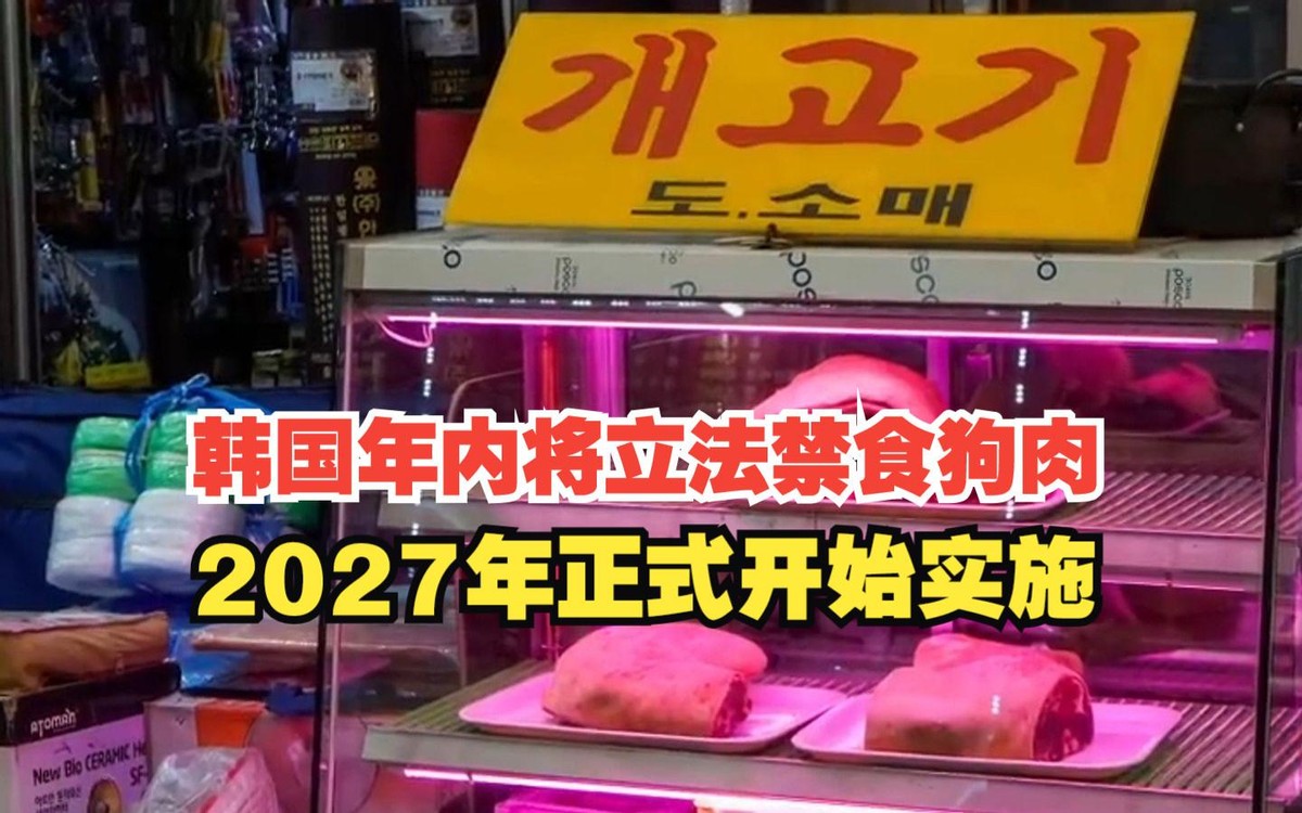 韩国政府决定立法禁食狗肉，预计国会将通过。这是韩国向更人道主义动物保护迈进的重要