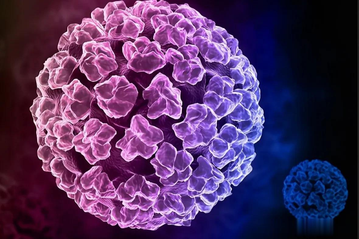 口腔里传染HPV病毒吗？为什么口腔内会有HPV病毒？人乳头瘤病毒（HPV）可以感