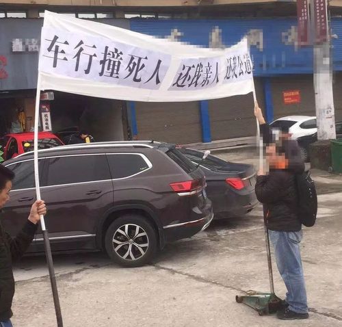 展车撞人，责任应由驾驶员和组织方共同承担。驾驶员需对自身行为负责，组织方应确保安