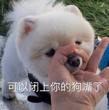 失业了做什么？当然是想干嘛干嘛，把工作没机会做的都做一遍