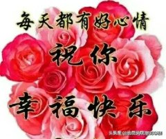 因为只有自我反思，我们才能明白生活的好坏，对错不是别人告诉我们，而是我们自己体验