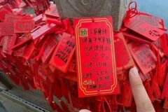 全红婵家的果园获得大丰收，爸爸妈妈在果园忙碌，而全红婵的哥哥全进华直播带货赚钱。