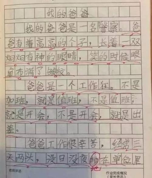 我眼中的爸爸是一个充满力量和智慧的人，他总是用他的经验和知识来引导我们成长，教会