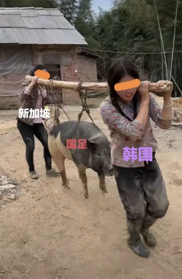 国足这都能晋级，上哪说理去，泰国第一个不服🤣 
