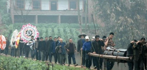 #代表建议不强制要求火葬#无论是土葬还是火葬一样，最终还是土葬，没有丝毫改变，只