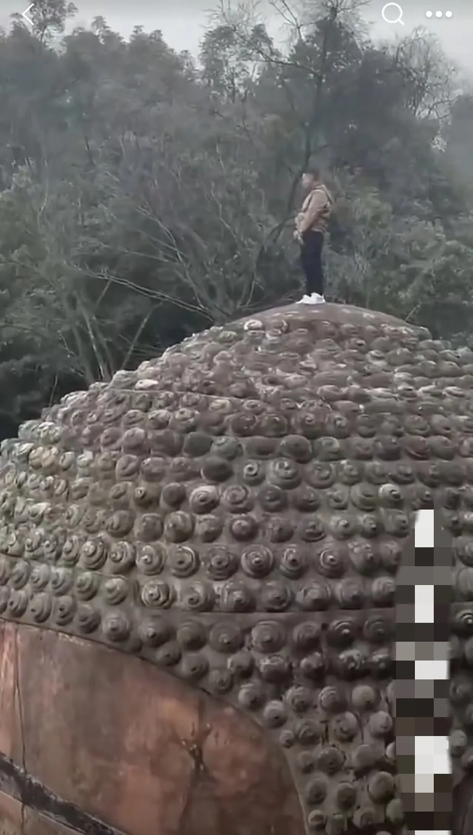 震惊！一男子在乐山大佛头顶上小便方便完还抖两下，必须没收作案工具，官方已报警，目