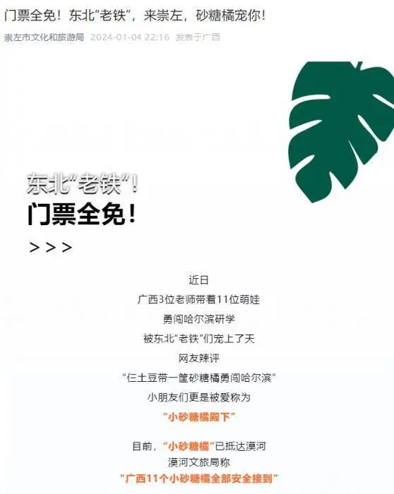 广西砂糖橘回礼东北老铁，广西三位师师带着11颗‘砂糖橘’赴东北研学被宠上天，现在