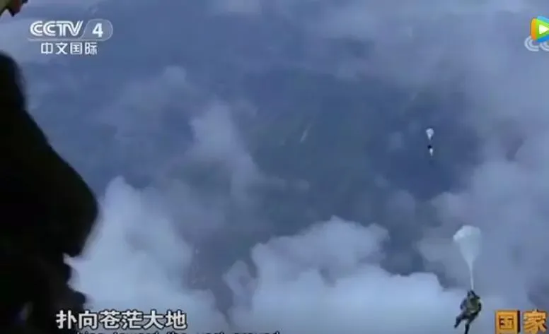 余震中，小猫瑟瑟发抖。消防员来了，它跳进帽子，找到了安心的温暖。