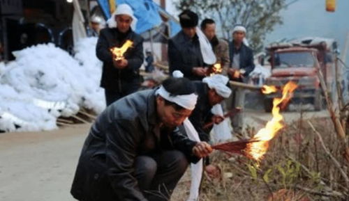 你觉得呢？地葬和火葬各有利弊，尊重个人选择才是关键。