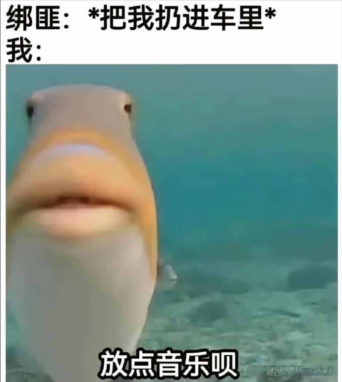 meme抽象梗图抽象表情包｜聊天表情包｜搞笑表情包
