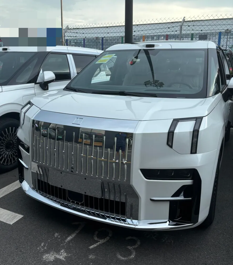 新款极氪009和翼真L380怎么选？去看了新款009，009明天晚上上市，估计价