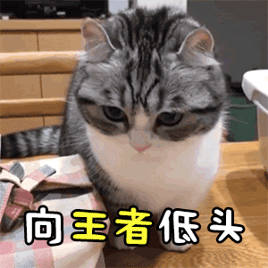近日有爆料抖音买商品拼多多发货。有一次看抖音直播的商品，去拼多多搜了一下同款，发