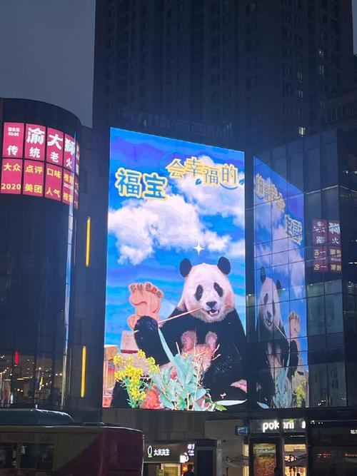 欢迎福宝回家