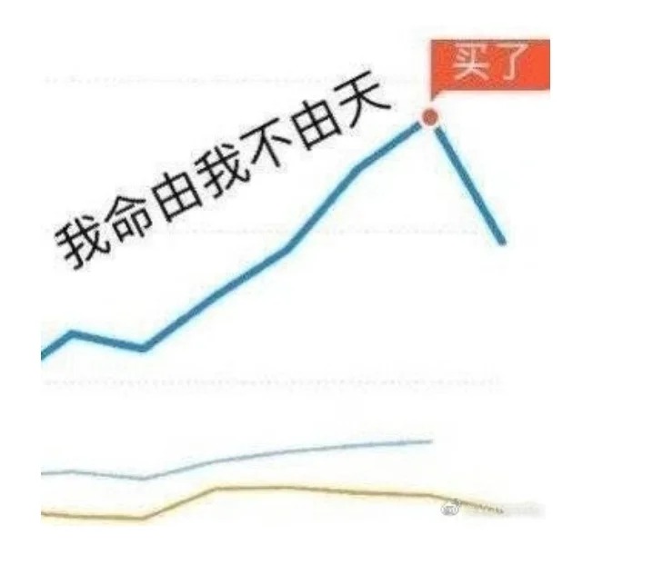 家人们！都快来许愿股市大赚，重回五千点！真诚的！冲啊家人们！