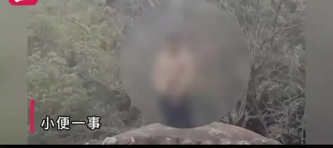竟然在佛头上撒尿在抖音上看到的，就在1月31号白天的时候，一名男游客跑到乐山大佛