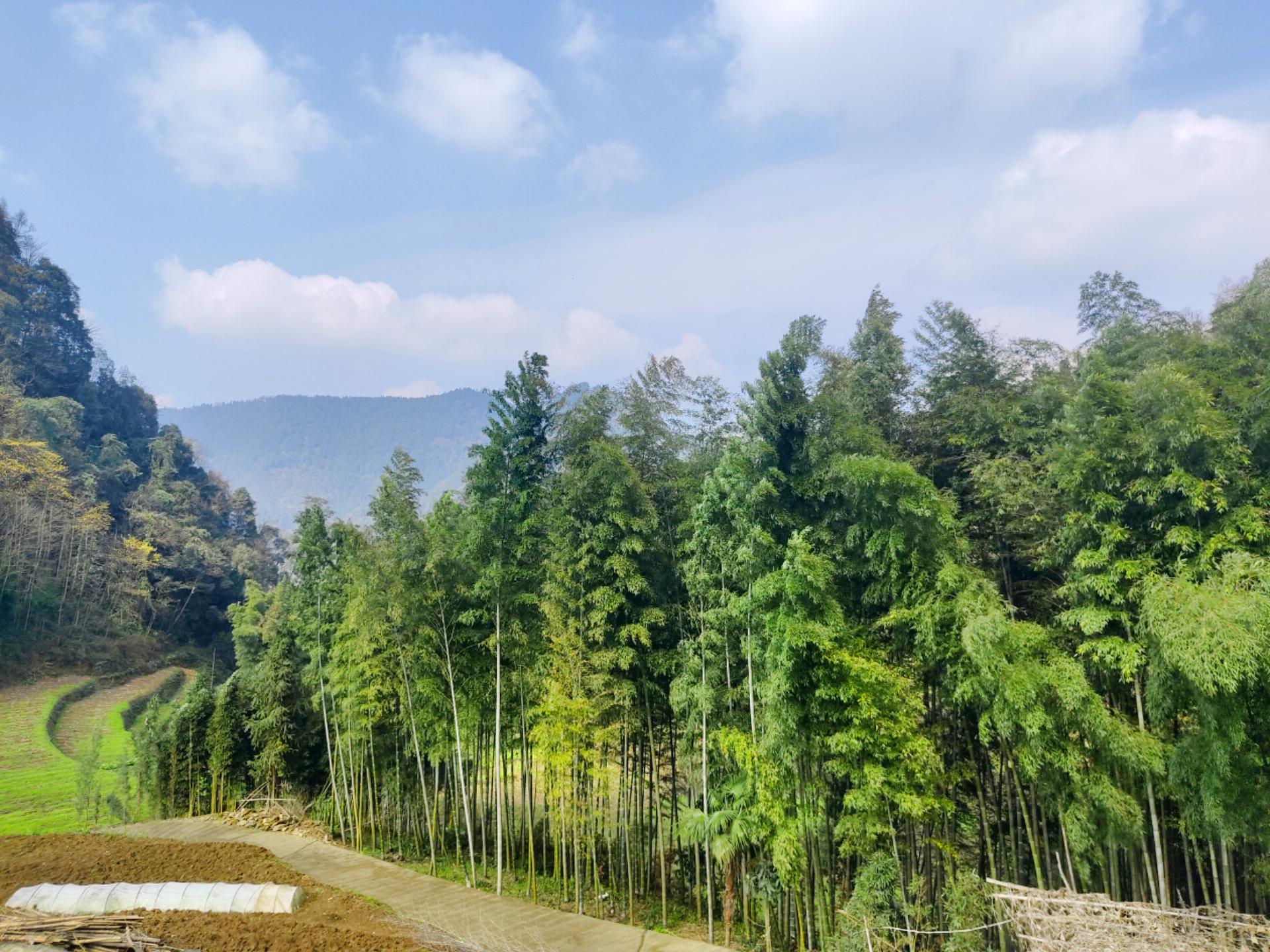 “我讨厌过年，到处走亲戚，不去还不行，都是各种敷衍各种装，大家还要装作很开心的样