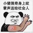 首先车主要担责，物业也有责任，家属走法律途径起诉车主和物业没问题，必须承担法律责