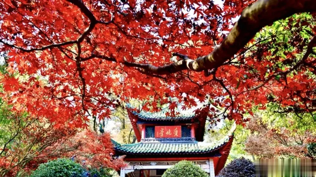 “看万山红遍，层林尽染”一张图亮出家乡的风景，大家知道这是哪里吗？朋友们可在评论
