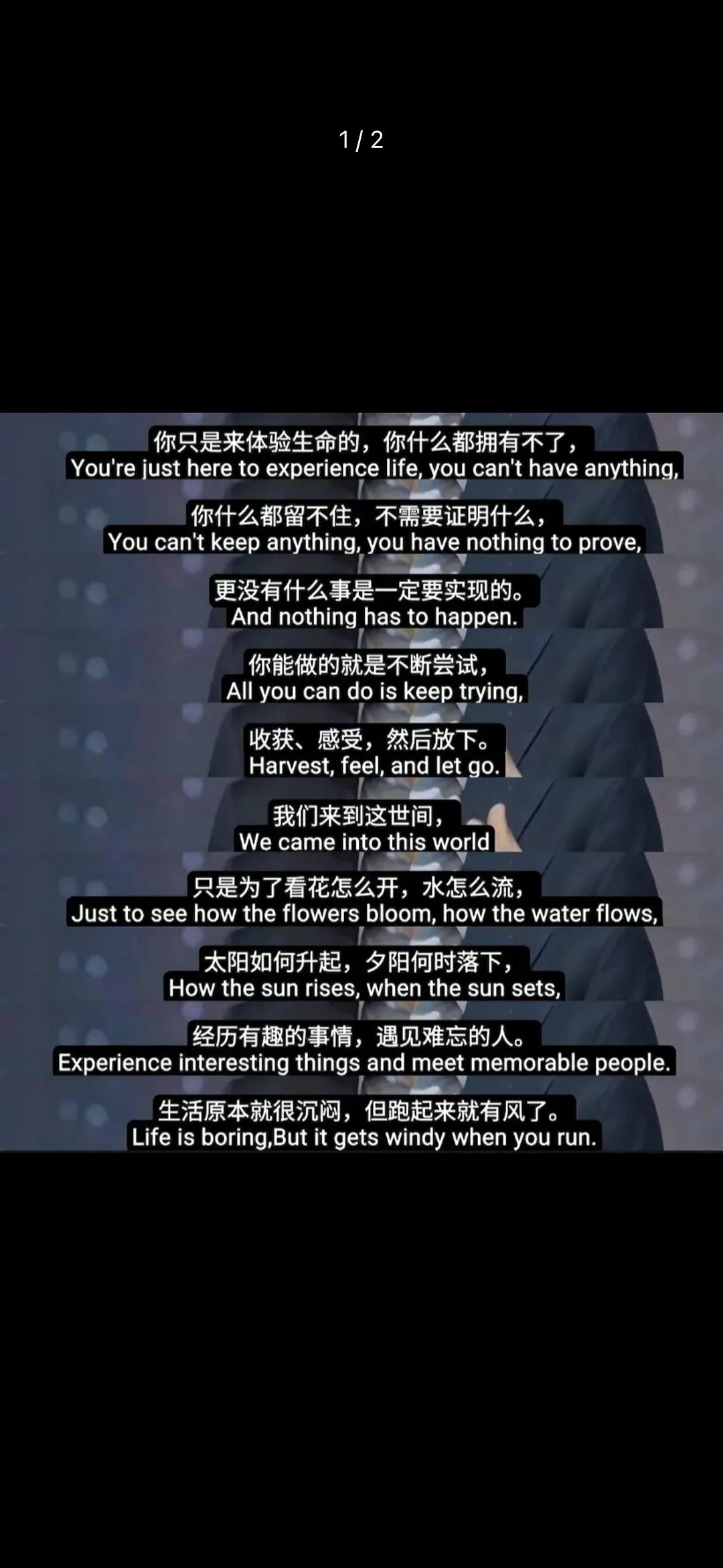 浪费就浪费了吧生命是什么珍贵的东西吗
