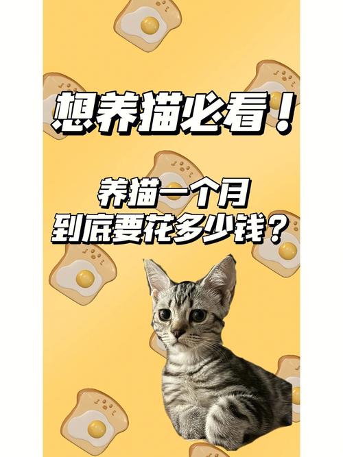 这得看你的生活在哪，干啥工作呢！