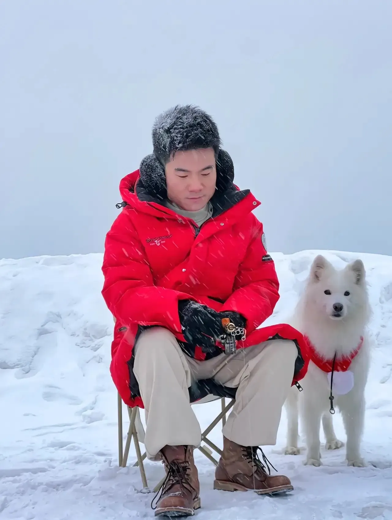 这组照片有朋友拍的，有网络转的，有自己拍的……雪景有吉林的，有北京的，还有我的家