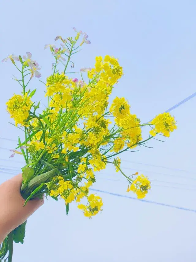 一毕业就考公务员是一个不错的选择，因为公务员对应届生有倾斜政策，提供更多专属岗位