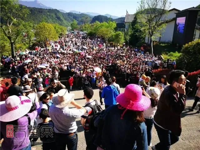 五一假期，县域旅游大火！大家对小众景点的关注度大幅提升，特色美食和文化遗产也得到