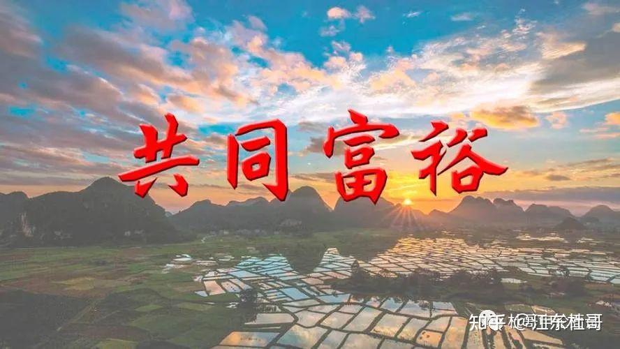虽然公务员薪资过高会引起争议，但降低他们的收入并不能解决根本问题——共同富裕而非