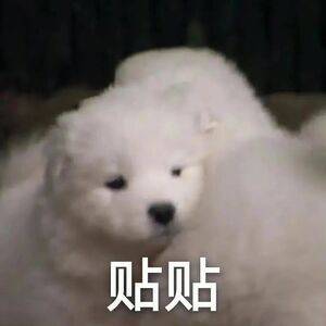 #成龙发文庆祝70岁生日#哇，成龙都70岁啦，尊嘟很喜欢看他拍的电影，生日快乐成