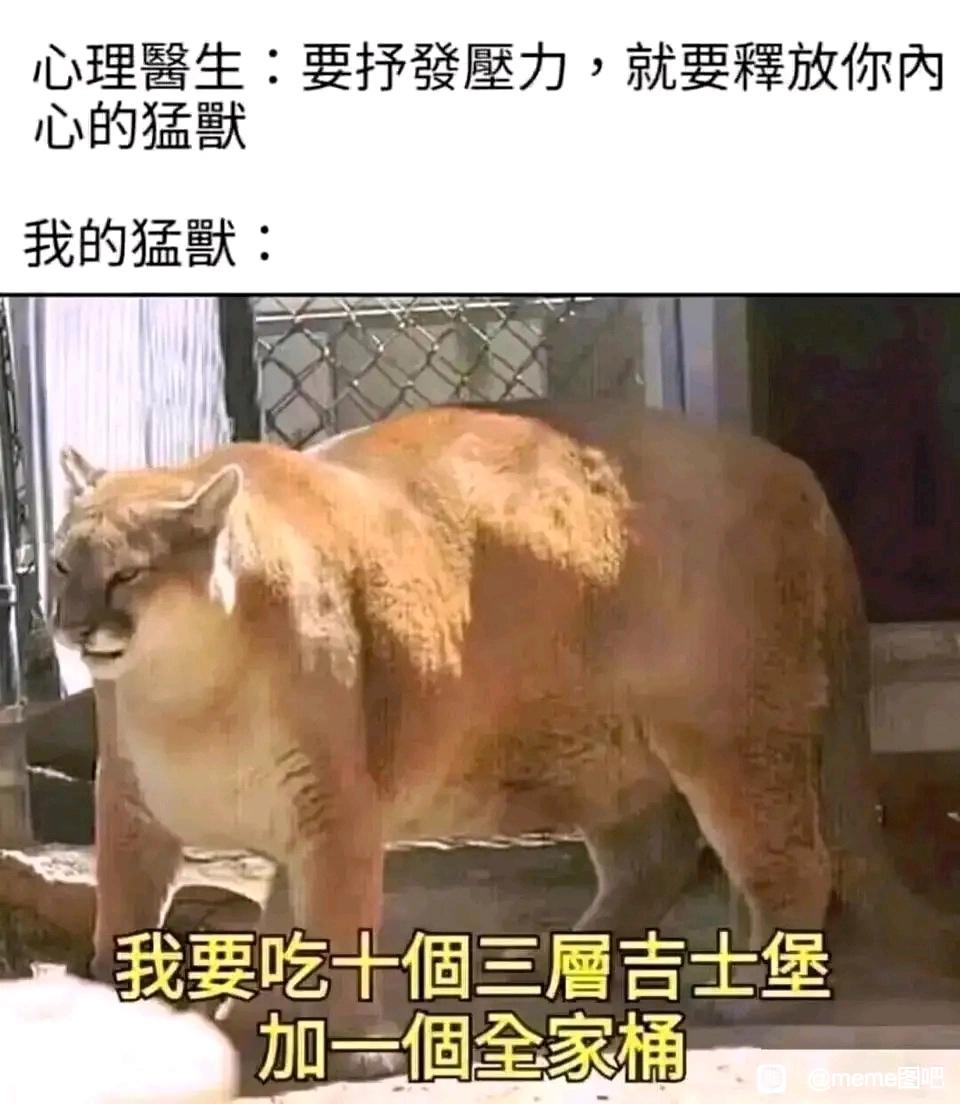 Meme梗图：证明你是汤姆猫的九个理由。\(￣︶￣*\))